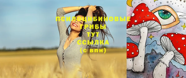 мет Лабытнанги