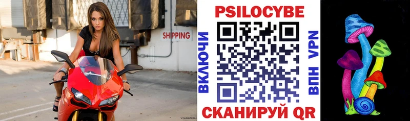 Галлюциногенные грибы мицелий  Купить закладки  Абинск 